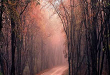 滕哈格要求再买四五人,罗尔费斯:他可能比阿隆索更直言不讳,滕哈格续约