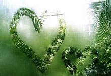 滕哈格要求再买四五人,罗尔费斯:他可能比阿隆索更直言不讳,滕哈格续约